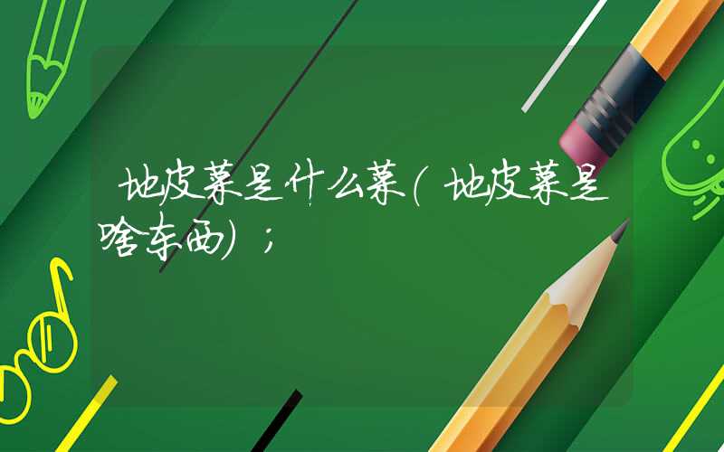 地皮菜是什么菜(地皮菜是啥东西)