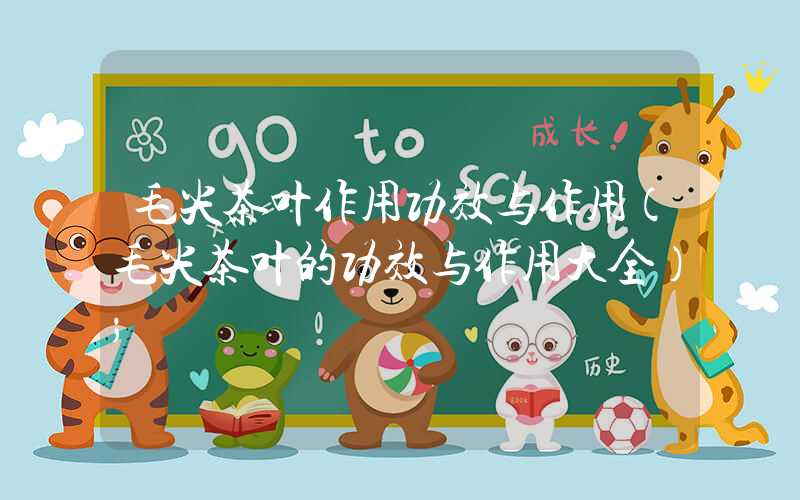 毛尖茶叶作用功效与作用(毛尖茶叶的功效与作用大全)