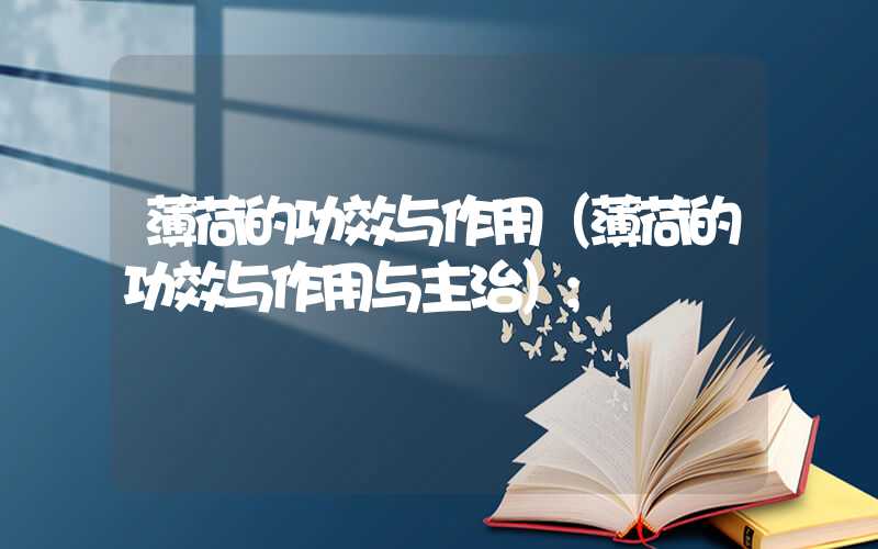 薄荷的功效与作用(薄荷的功效与作用与主治)