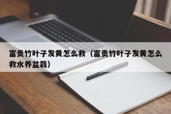 富贵竹叶子发黄怎么救(富贵竹叶子发黄怎么救水养盆栽),第1张 富贵竹叶子发黄怎么救(富贵竹叶子发黄怎么救水养盆栽),第1张
