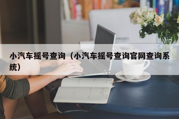 小汽车摇号查询（小汽车摇号查询官网查询系统）,第1张