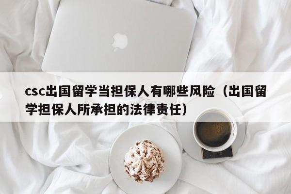 csc出国留学当担保人有哪些风险(出国留学担保人所承担的法律责任),第1张 csc出国留学当担保人有哪些风险(出国留学担保人所承担的法律责任),第1张