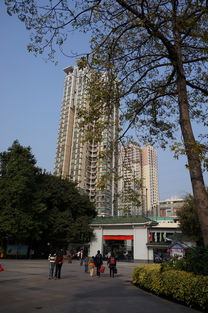 广州晓港公园(广州晓港公园作文),第3张 广州晓港公园(广州晓港公园作文),广州晓港公园(广州晓港公园作文),第3张