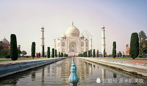 艾叶的功效与作用（艾叶的功效与作用和副作用）,艾叶的功效与作用（艾叶的功效与作用和副作用）,第3张