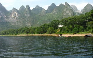 装修公司:探秘市场上口碑最好的精油品牌,第3张 装修公司:探秘市场上口碑最好的精油品牌,装修公司:探秘市场上口碑最好的精油品牌,第3张