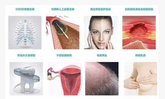 皮肤再生管理怎么做(皮肤再生修复),第1张 皮肤再生管理怎么做(皮肤再生修复),皮肤再生管理怎么做(皮肤再生修复),第1张