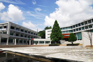 马来西亚城市大学留学生哪个校区(马来西亚城市大学留学费用),第1张 马来西亚城市大学留学生哪个校区(马来西亚城市大学留学费用),马来西亚城市大学留学生哪个校区(马来西亚城市大学留学费用),第1张