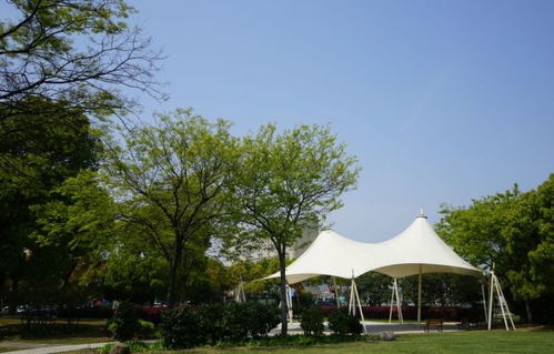 金山公园(金山公园几点开门),第1张 金山公园(金山公园几点开门),金山公园(金山公园几点开门),第1张