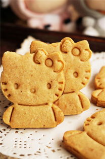 如何制作饼干用烤箱(如何做饼干用烤箱),第1张 如何制作饼干用烤箱(如何做饼干用烤箱),如何制作饼干用烤箱(如何做饼干用烤箱),第1张