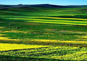 兰博基尼卡丁车(兰博基尼卡丁车能上路吗),第2张 兰博基尼卡丁车(兰博基尼卡丁车能上路吗),兰博基尼卡丁车(兰博基尼卡丁车能上路吗),第2张