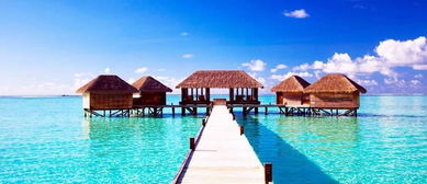 小龙虾怎么做最好吃（小龙虾怎么做最好吃又简单）,小龙虾怎么做最好吃（小龙虾怎么做最好吃又简单）,第1张