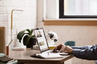 双饰面板(双饰面板是什么材质),第1张 双饰面板(双饰面板是什么材质),双饰面板(双饰面板是什么材质),第1张