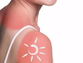 鸡尾虾的家常做法(爆炒基围虾的家常做法),第2张 鸡尾虾的家常做法(爆炒基围虾的家常做法),鸡尾虾的家常做法(爆炒基围虾的家常做法),第2张