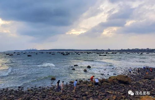 利亚纳改装(利亚纳改装大包围图片),第1张 利亚纳改装(利亚纳改装大包围图片),利亚纳改装(利亚纳改装大包围图片),第1张