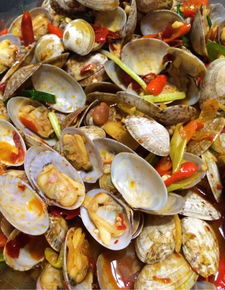 爆炒花甲的做法（爆炒花甲的做法大全）,爆炒花甲的做法（爆炒花甲的做法大全）,第2张