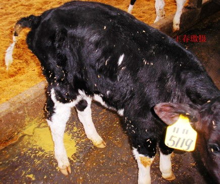 办公室装潢:如何选择适合厨房的热水设备?,第2张 办公室装潢:如何选择适合厨房的热水设备?,办公室装潢:如何选择适合厨房的热水设备?,第2张