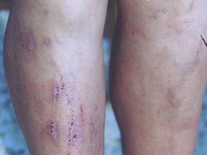 江苏特产(江苏特产美食),第1张 江苏特产(江苏特产美食),江苏特产(江苏特产美食),第1张