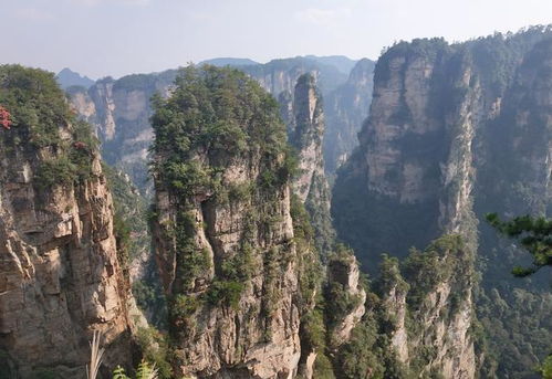 张家界森林公园(张家界森林公园门票包含什么),第2张 张家界森林公园(张家界森林公园门票包含什么),张家界森林公园(张家界森林公园门票包含什么),第2张