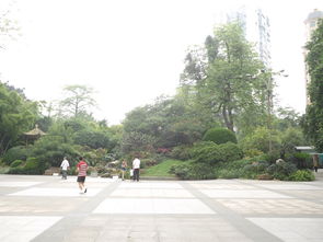 广州晓港公园(广州晓港公园作文),第2张 广州晓港公园(广州晓港公园作文),广州晓港公园(广州晓港公园作文),第2张