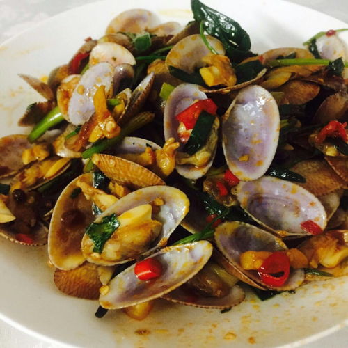 爆炒花甲的做法（爆炒花甲的做法大全）,爆炒花甲的做法（爆炒花甲的做法大全）,第1张