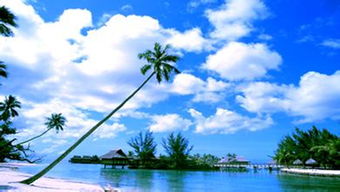 海南岛旅游攻略(海南岛旅游攻略必去景点推荐),第2张 海南岛旅游攻略(海南岛旅游攻略必去景点推荐),海南岛旅游攻略(海南岛旅游攻略必去景点推荐),第2张