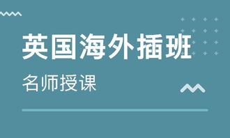 波士顿龙虾怎么清洗（买来的波士顿龙虾怎么保存）,波士顿龙虾怎么清洗（买来的波士顿龙虾怎么保存）,第2张