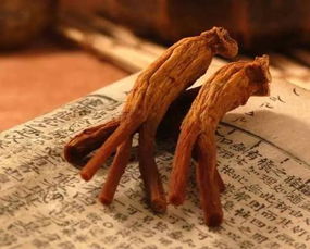 咸竹蜂(咸竹蜂的功效与作用及禁忌),第3张 咸竹蜂(咸竹蜂的功效与作用及禁忌),咸竹蜂(咸竹蜂的功效与作用及禁忌),第3张