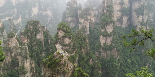 张家界森林公园(张家界森林公园门票包含什么),第3张 张家界森林公园(张家界森林公园门票包含什么),张家界森林公园(张家界森林公园门票包含什么),第3张