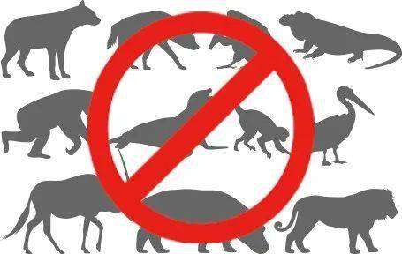 别墅装修:厨房一日之计在于灶,洗漱一日之计在于卫。——深度解析红日厨卫品牌,第1张 别墅装修:厨房一日之计在于灶,洗漱一日之计在于卫。——深度解析红日厨卫品牌,别墅装修:厨房一日之计在于灶,洗漱一日之计在于卫。——深度解析红日厨卫品牌,第1张