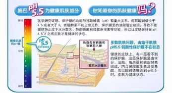 cng减压器（cng减压器如何调出色的卓越的优异的杰出的）,cng减压器（cng减压器如何调出色的卓越的优异的杰出的）,第3张