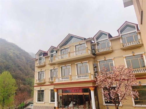 上海迈巴赫（上海迈巴赫普尔曼是谁的车）,上海迈巴赫（上海迈巴赫普尔曼是谁的车）,第2张