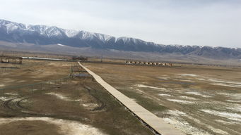 丰田两厢（丰田两厢车）,丰田两厢（丰田两厢车）,第2张