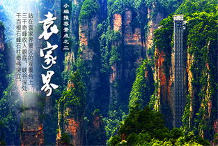 张家界森林公园(张家界森林公园门票包含什么),第1张 张家界森林公园(张家界森林公园门票包含什么),张家界森林公园(张家界森林公园门票包含什么),第1张