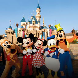 办公室设计装修:老司机告诉你:选蛋器要注意哪些品牌?,第1张 办公室设计装修:老司机告诉你:选蛋器要注意哪些品牌?,办公室设计装修:老司机告诉你:选蛋器要注意哪些品牌?,第1张