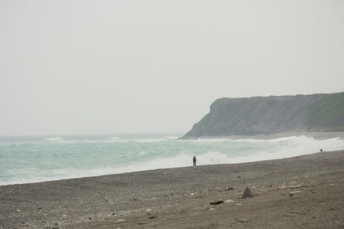 自由风（自由风女头）,自由风（自由风女头）,第3张