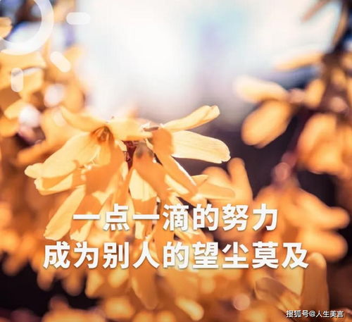 装修励志语录（装修励志语录个人经典短句图片）,装修励志语录（装修励志语录个人经典短句图片）,第1张