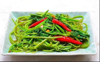 海带丝怎么拌凉菜(海带丝怎么拌凉菜好吃窍门),第2张 海带丝怎么拌凉菜(海带丝怎么拌凉菜好吃窍门),海带丝怎么拌凉菜(海带丝怎么拌凉菜好吃窍门),第2张