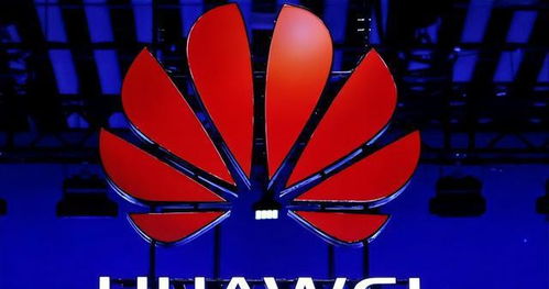 大家乐酸菜鱼(大家乐海鲜),第3张 大家乐酸菜鱼(大家乐海鲜),大家乐酸菜鱼(大家乐海鲜),第3张