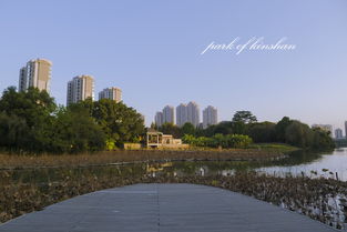 金山公园(金山公园几点开门),第3张 金山公园(金山公园几点开门),金山公园(金山公园几点开门),第3张