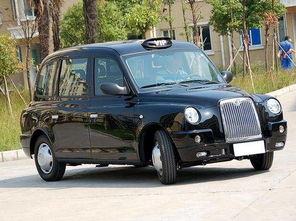 关于英伦tx4的信息,第1张 关于英伦tx4的信息,关于英伦tx4的信息,第1张