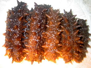 包含海参的做法有几种呀怎么做好啊的词条,第3张 包含海参的做法有几种呀怎么做好啊的词条,包含海参的做法有几种呀怎么做好啊的词条,第3张