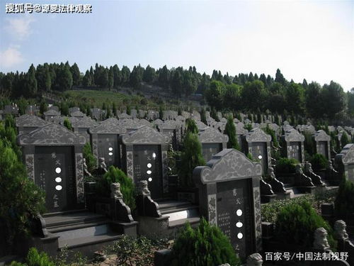 装饰设计:花园洋房:探究这种房型的历史背景及适用人群,第3张 装饰设计:花园洋房:探究这种房型的历史背景及适用人群,装饰设计:花园洋房:探究这种房型的历史背景及适用人群,第3张