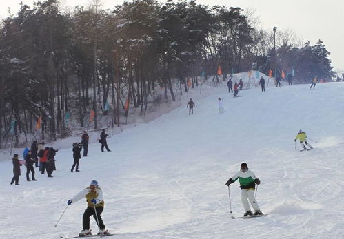 沈阳滑雪(沈阳滑雪用品一条街),第3张 沈阳滑雪(沈阳滑雪用品一条街),沈阳滑雪(沈阳滑雪用品一条街),第3张
