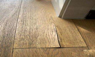 强化地板(强化地板泡水起鼓还能恢复吗),第1张 强化地板(强化地板泡水起鼓还能恢复吗),强化地板(强化地板泡水起鼓还能恢复吗),第1张