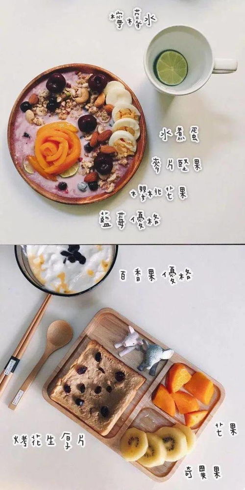 减肥营养棒(减肥营养棒是什么做的),第1张 减肥营养棒(减肥营养棒是什么做的),减肥营养棒(减肥营养棒是什么做的),第1张