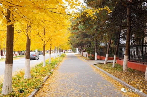空调加氟压力(空调加氟压力表),第3张 空调加氟压力(空调加氟压力表),空调加氟压力(空调加氟压力表),第3张