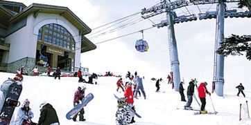 沈阳滑雪(沈阳滑雪用品一条街),第2张 沈阳滑雪(沈阳滑雪用品一条街),沈阳滑雪(沈阳滑雪用品一条街),第2张