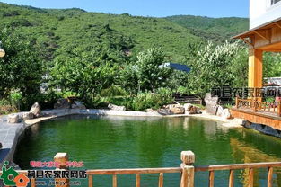 水晶楼梯(水晶楼梯扶手图片大全),第3张 水晶楼梯(水晶楼梯扶手图片大全),水晶楼梯(水晶楼梯扶手图片大全),第3张