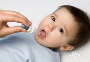 竹笋的功效与作用及营养价值(竹笋的功效与作用吃法大全),第1张 竹笋的功效与作用及营养价值(竹笋的功效与作用吃法大全),竹笋的功效与作用及营养价值(竹笋的功效与作用吃法大全),第1张