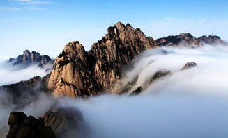 黄山本地旅行社（黄山本地旅行社哪家好）,黄山本地旅行社（黄山本地旅行社哪家好）,第3张
